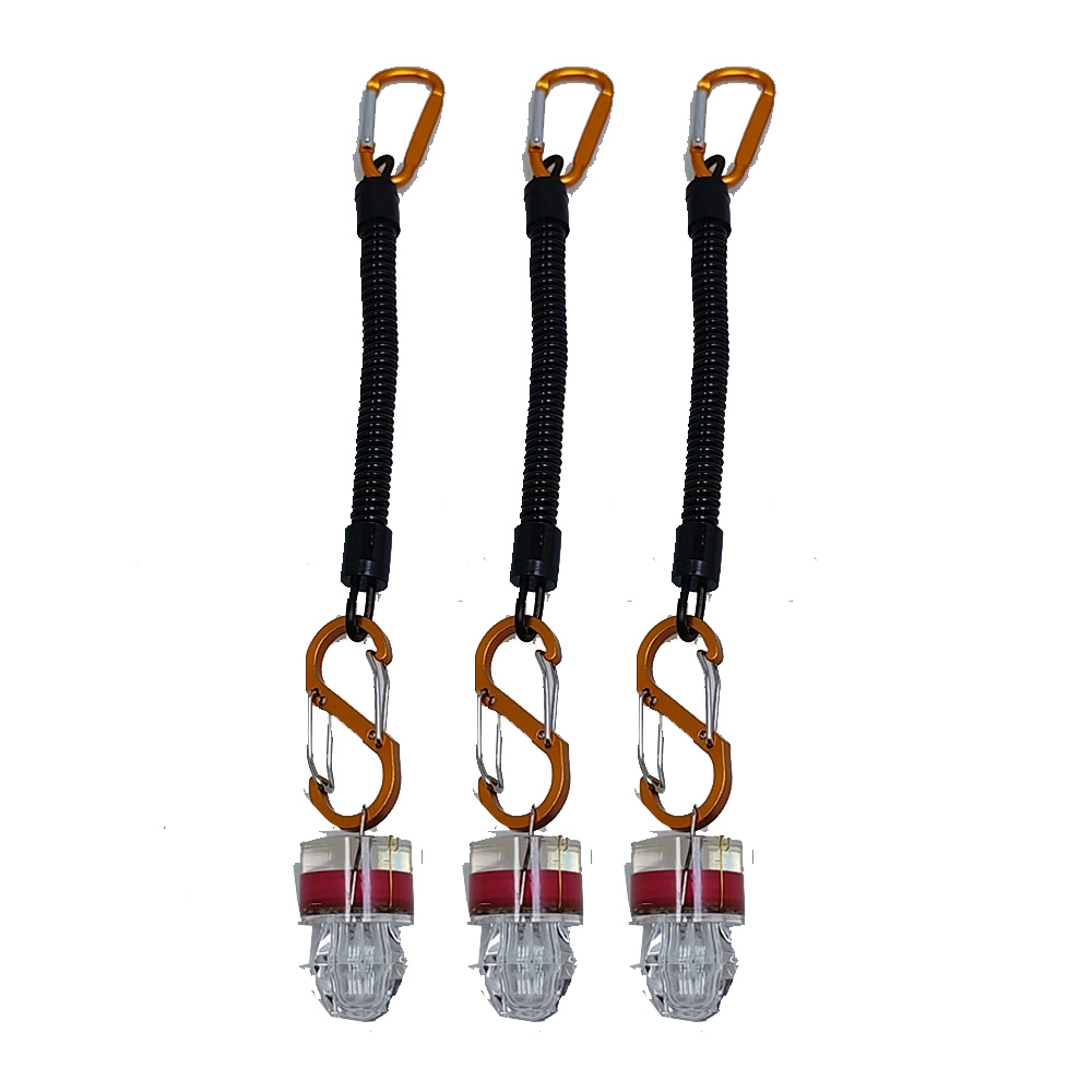 2-3 Luci LED per Pesca con Cor - Fish Alarm recensione e prezzo